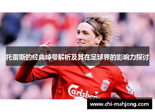 托雷斯的经典绰号解析及其在足球界的影响力探讨