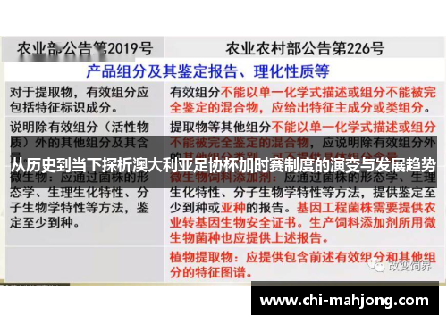 从历史到当下探析澳大利亚足协杯加时赛制度的演变与发展趋势 从历史到当下探析澳大利亚足协杯加时赛制度的演变与发展趋势